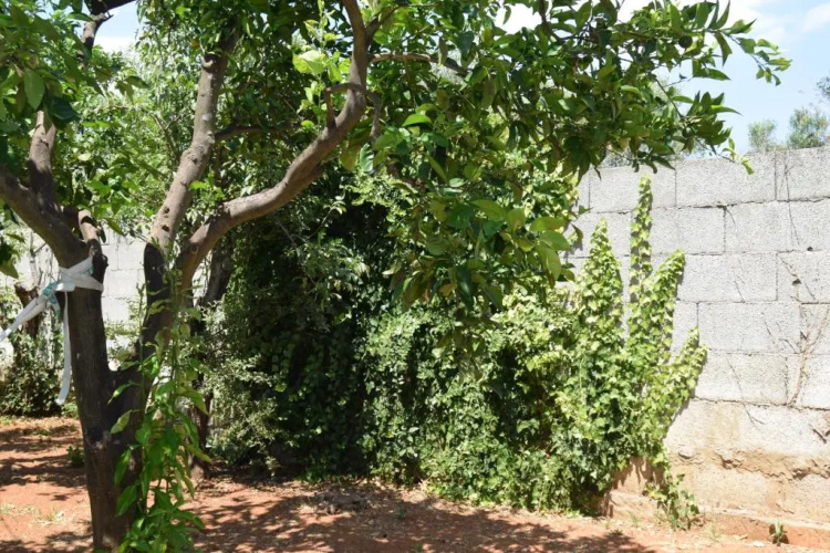 santa potenza