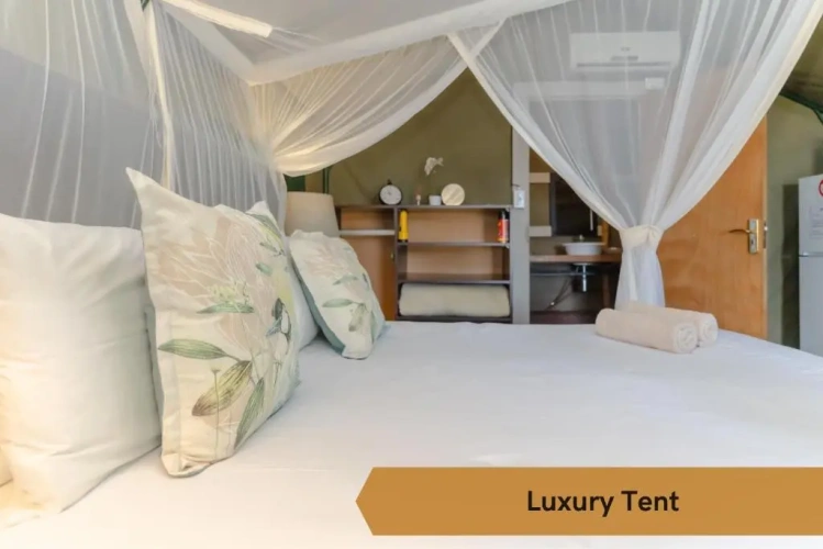 Tent with view