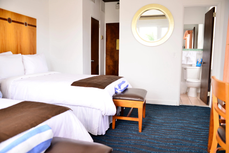 Majestic Hotel South Beach, Trademark Collection by Wyndham photo 10