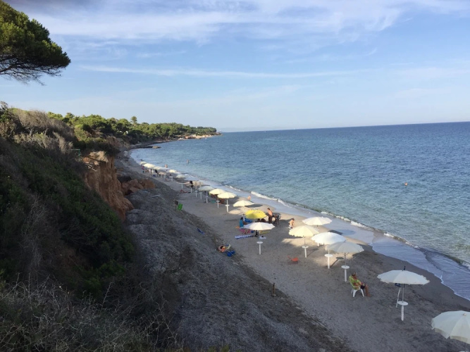 Villetta in Pineta