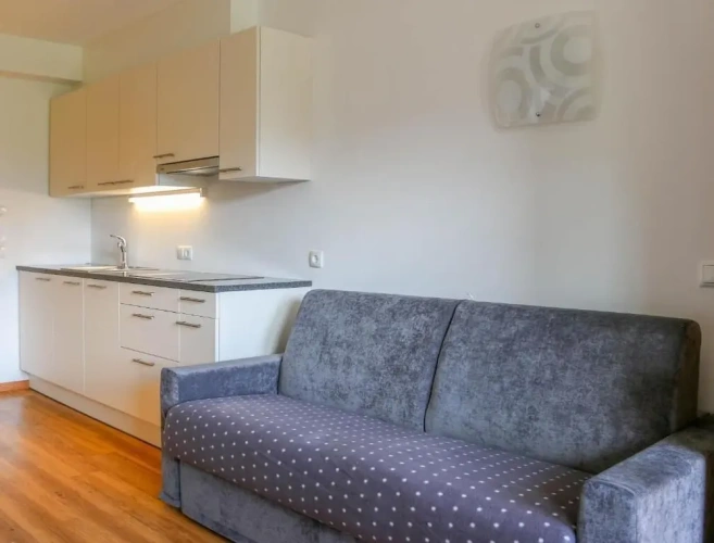 1 Bedroom Standard room with balcony and with mountain view