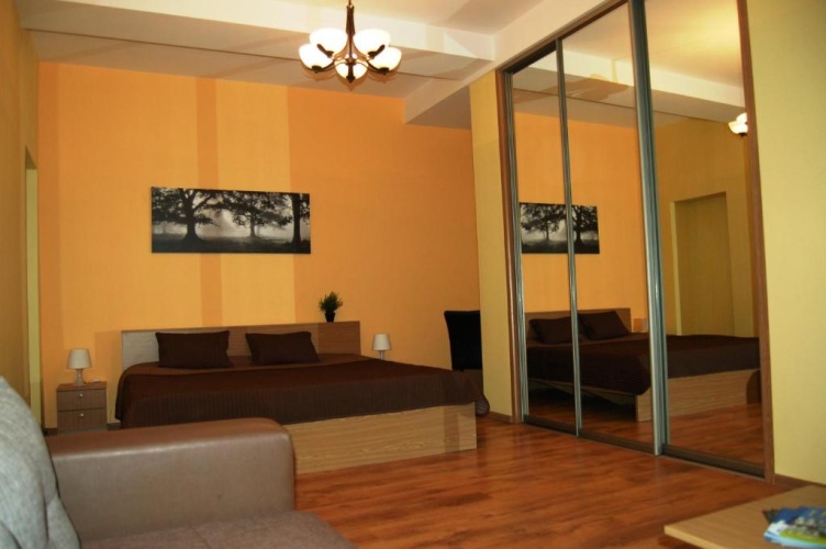 1 Bedroom Apartment with city view