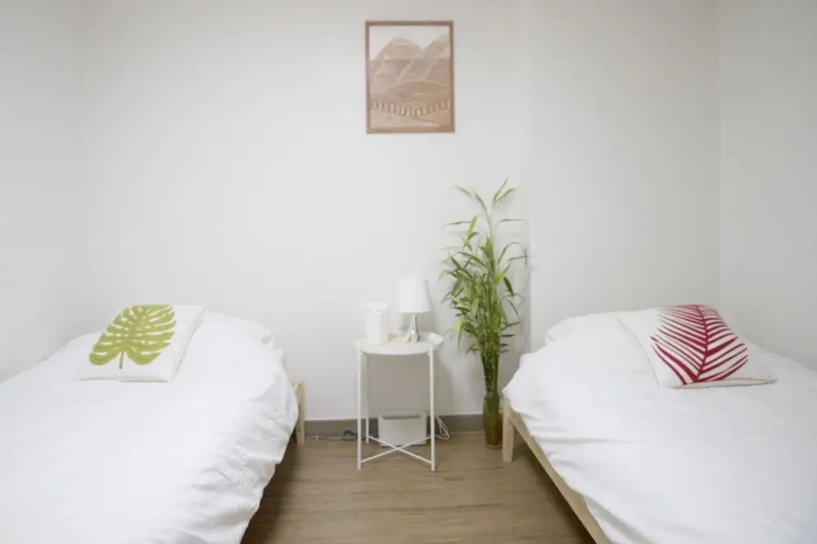Standard Twin room