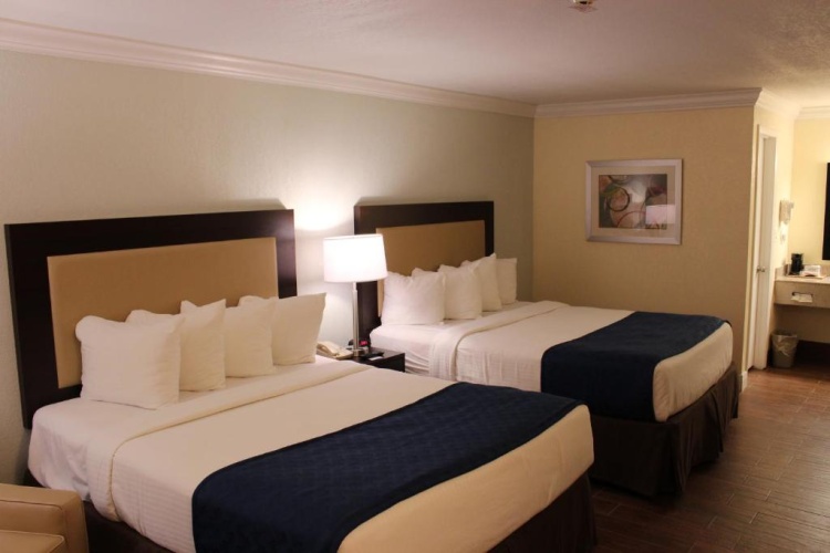 Premium Quadruple room