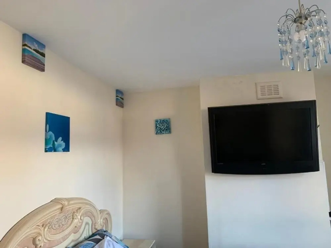Busy Bee Guest House