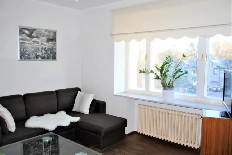 1 Bedroom Economy Apartment