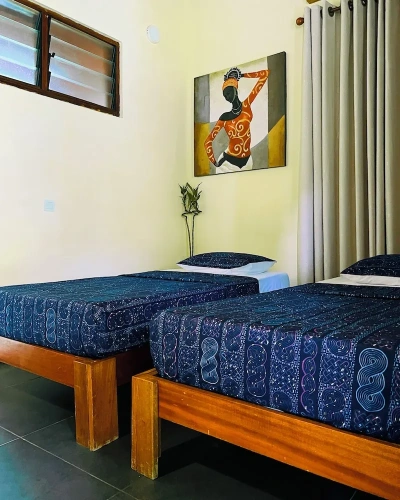Deluxe Twin room with garden view