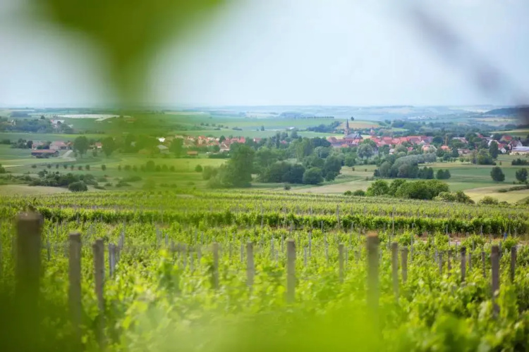 Weingut Winzerstube Schilling