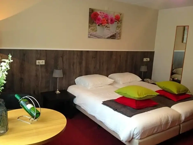 Standard Twin room with view