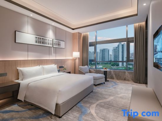 1 Bedroom Family Suite