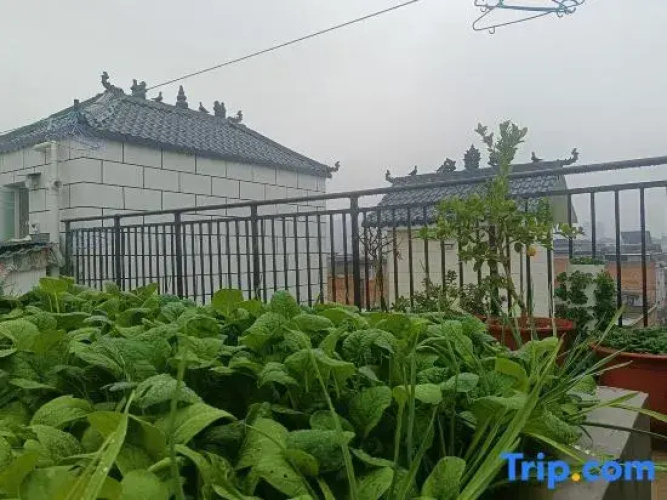 Zexu Homestay (Longmen Avenue)