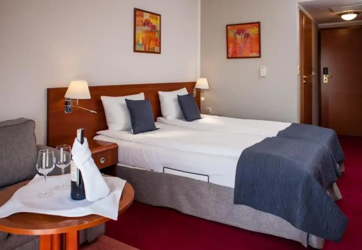 Standard Double room with balcony and with view