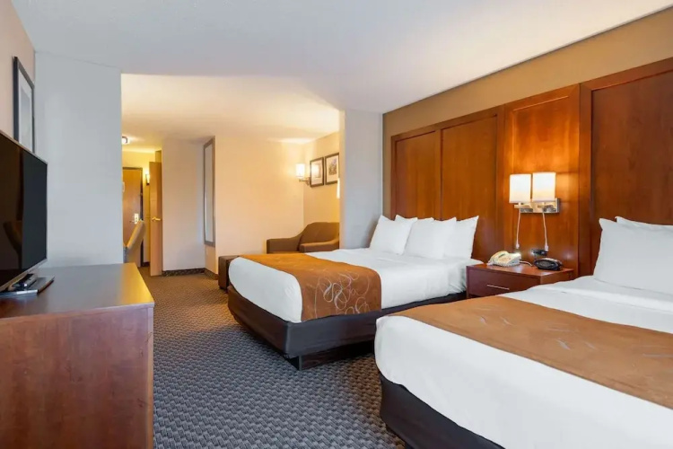 Comfort Suites South Haven Area