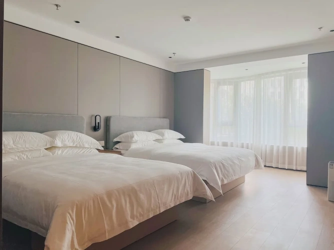 1 Bedroom Suite