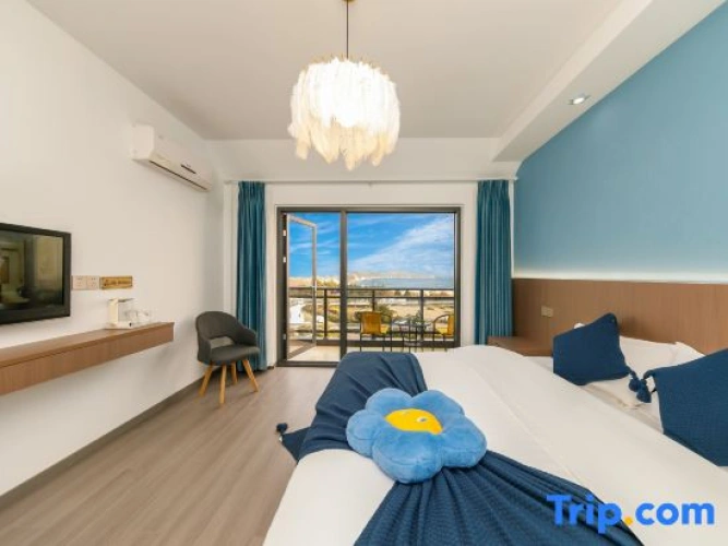 Standard Double room with balcony and with view