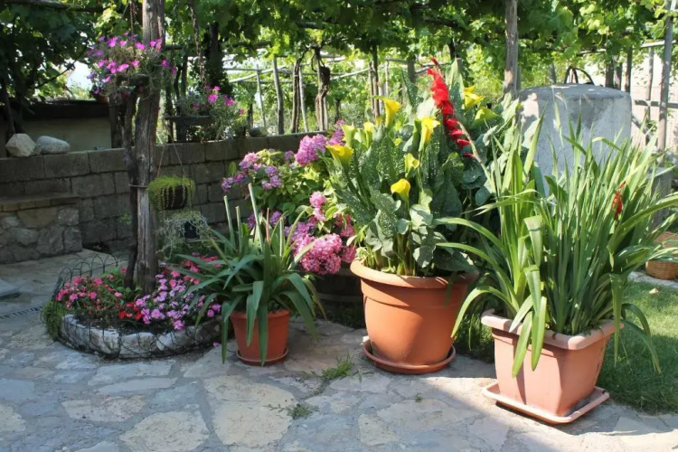 B&B Matilde