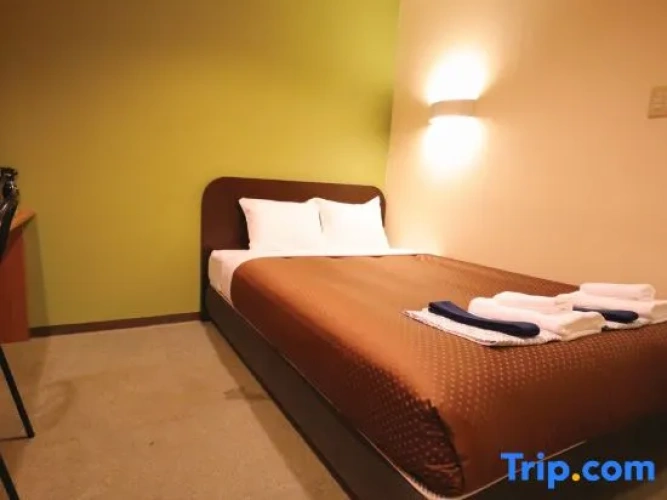 Standard Double room with city view