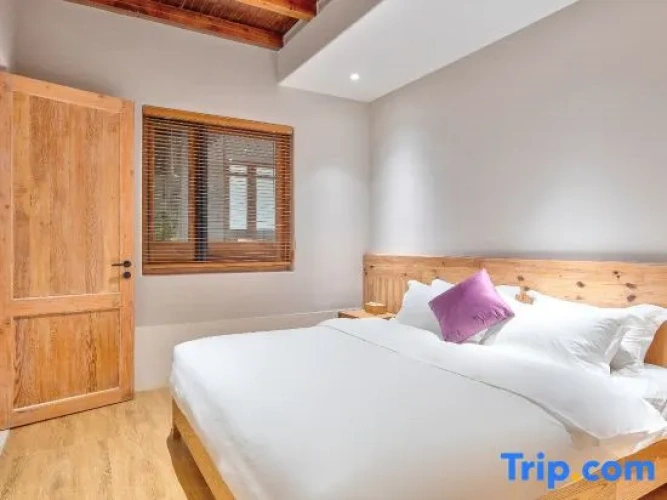 1 Bedroom Suite