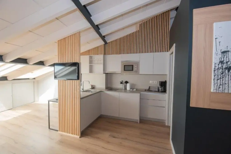 Penthouse Apartment