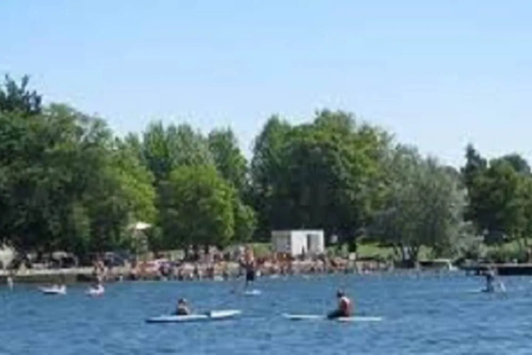 Greenlake Little Oasis