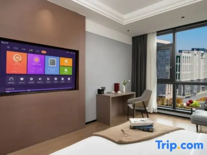 Standard Double room with city view