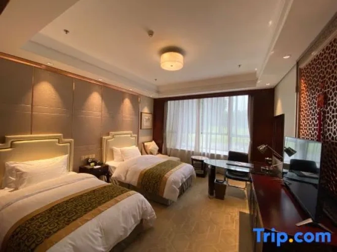 Standard Twin room with view