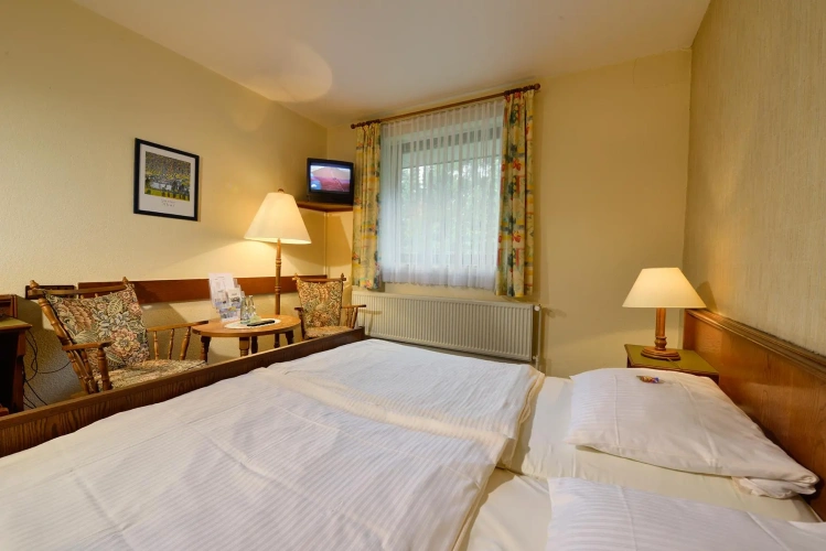 Standard Double room