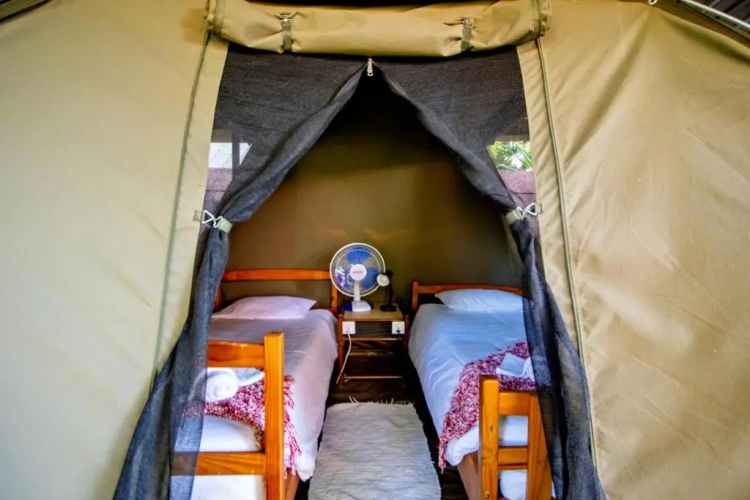 Tent