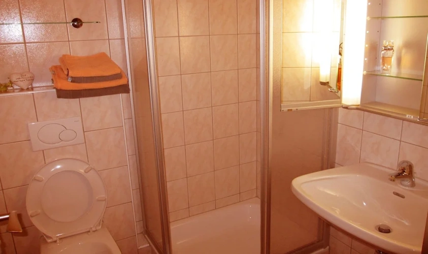 Standard Double room with balcony and with mountain view