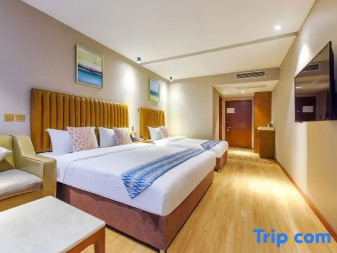 Standard Twin room with city view