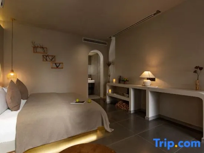 Standard Double room with courtyard view