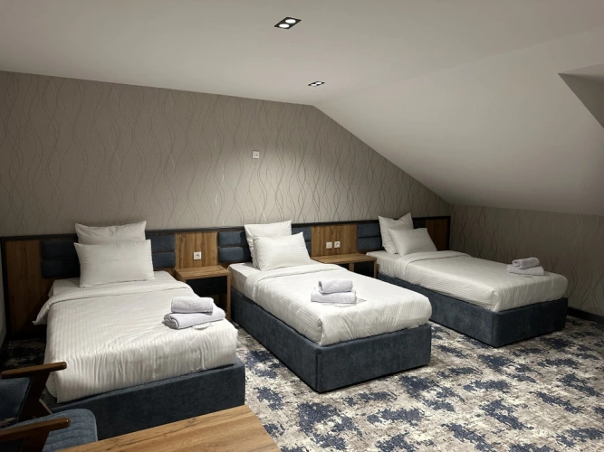 Deluxe Triple room