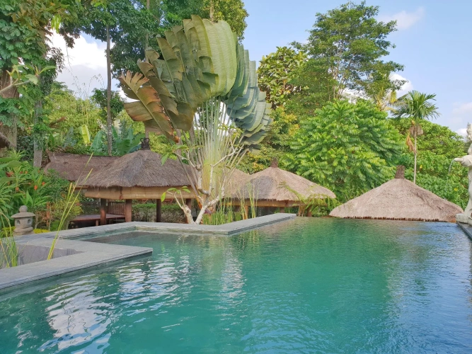 Deluxe Double room with balcony and with view