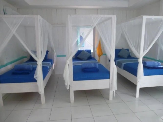 Bed in Dorm