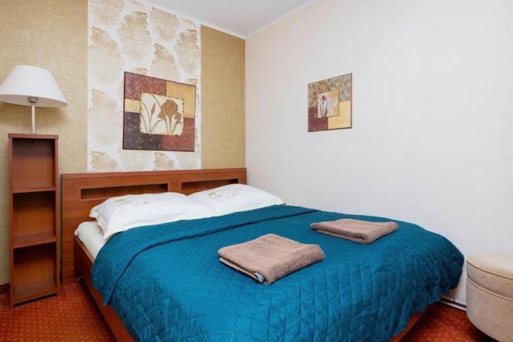 Standard Double room with garden view
