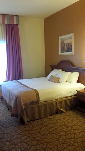 Double Suite with city view