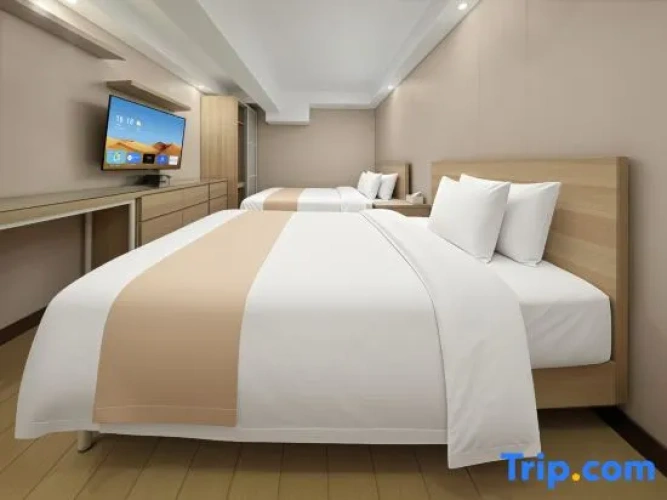 Standard Twin Duplex room