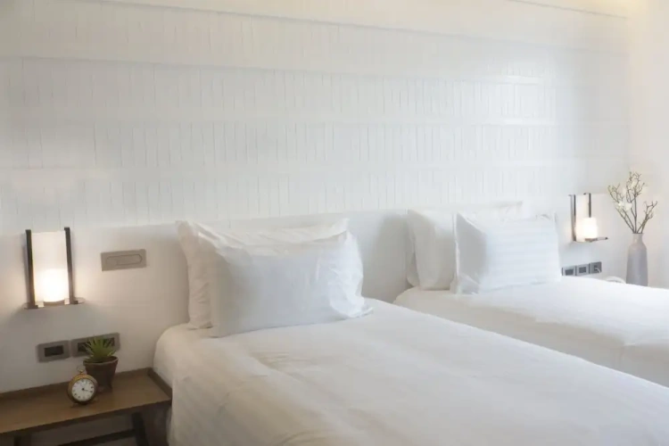 Serene White Twin room