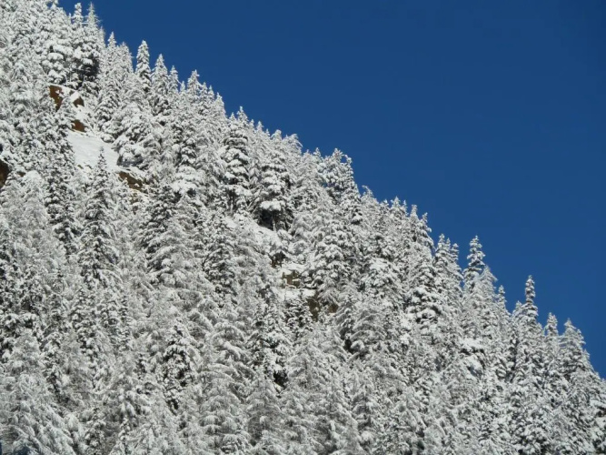 Appartement Gurgl