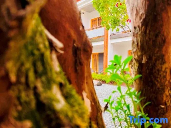 Xunkezhan Hostel