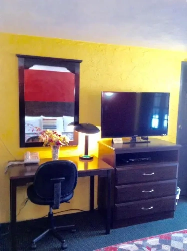 Standard Suite