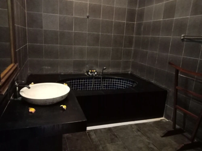 Deluxe room with balcony and with garden view