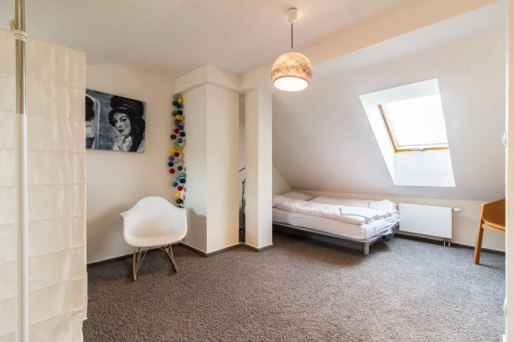 Krizikova Apartment Prague 8