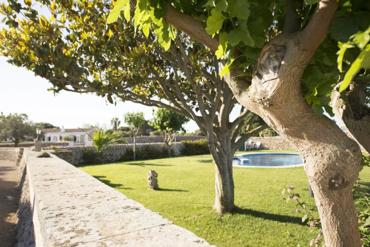 Agroturismo Llucmaçanes Gran