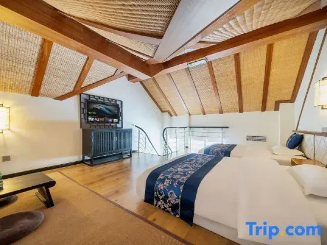 Duplex Suite