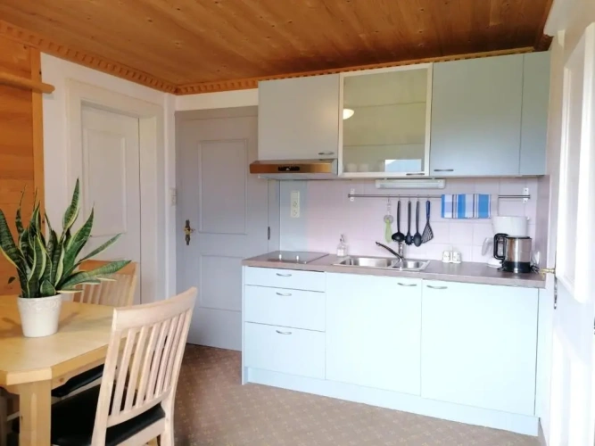 1 Bedroom Apartment with balcony