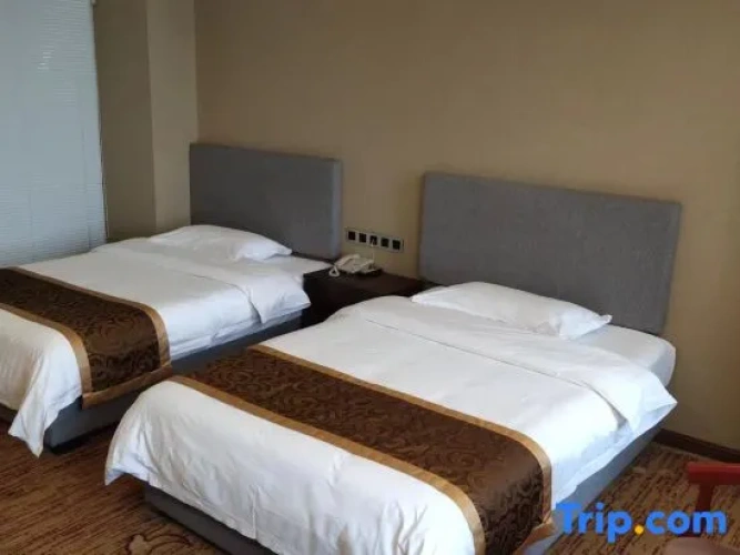 Economy Twin room
