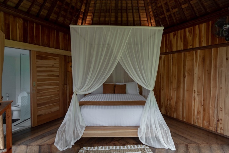1 Bedroom Standard Double room