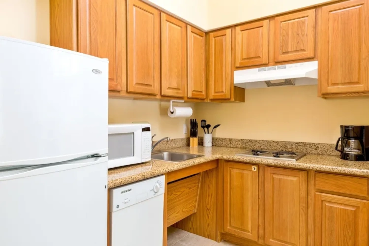 1 Bedroom Suite