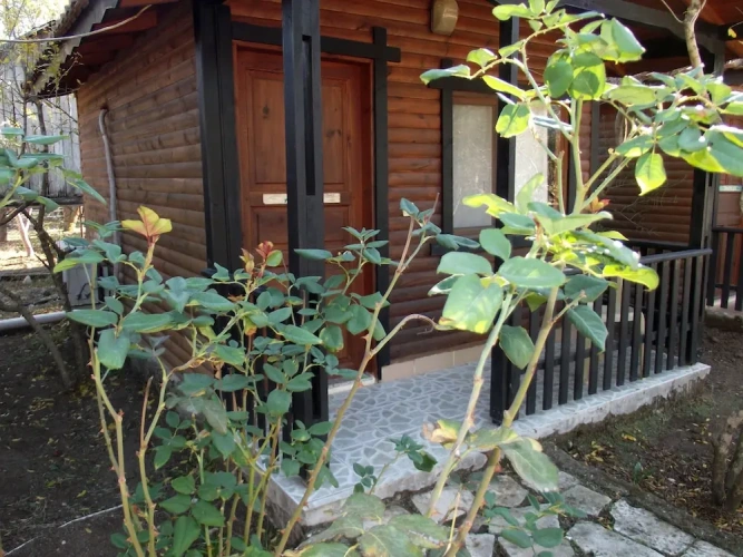 Comfort Double Bungalow